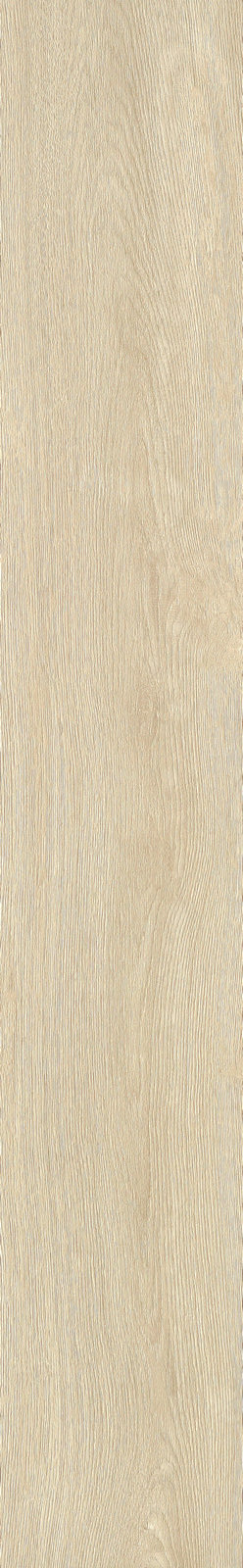 122FW111B 橡心悦木产品图