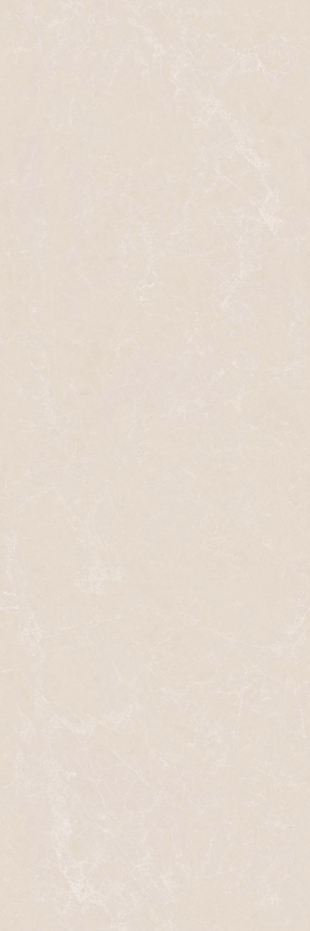LJA902709L5012 顶级白玉兰产品图